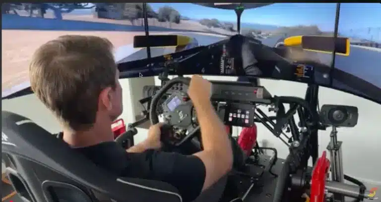Ryan Hunter Reay in sim