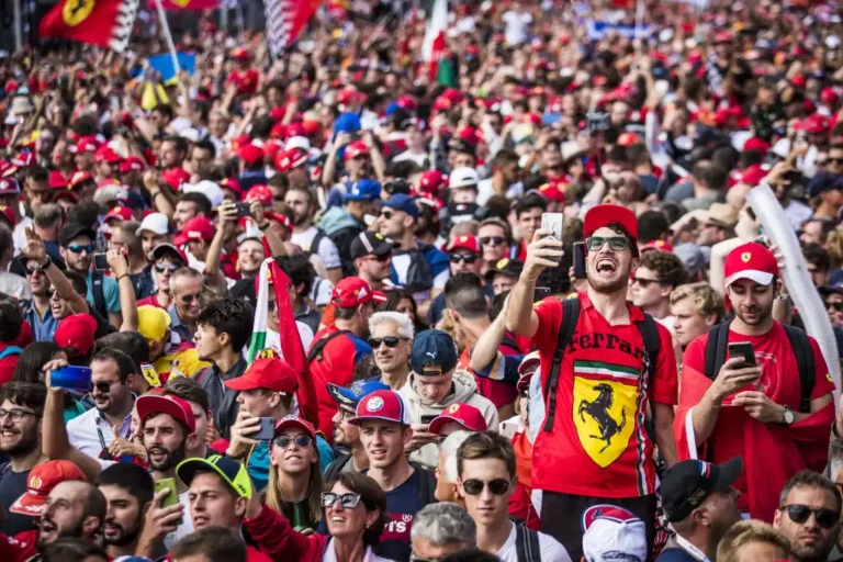 F1 fans