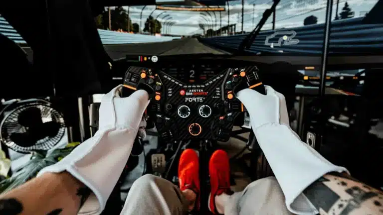 Sim Training for Real-World Track Drivers